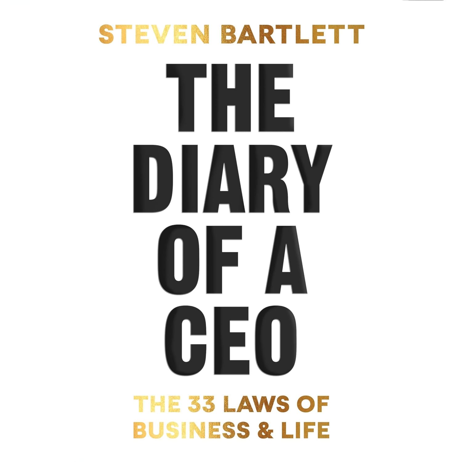 The Diary of a CEO